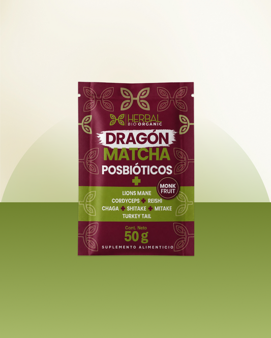 Dragon Matcha Probióticos