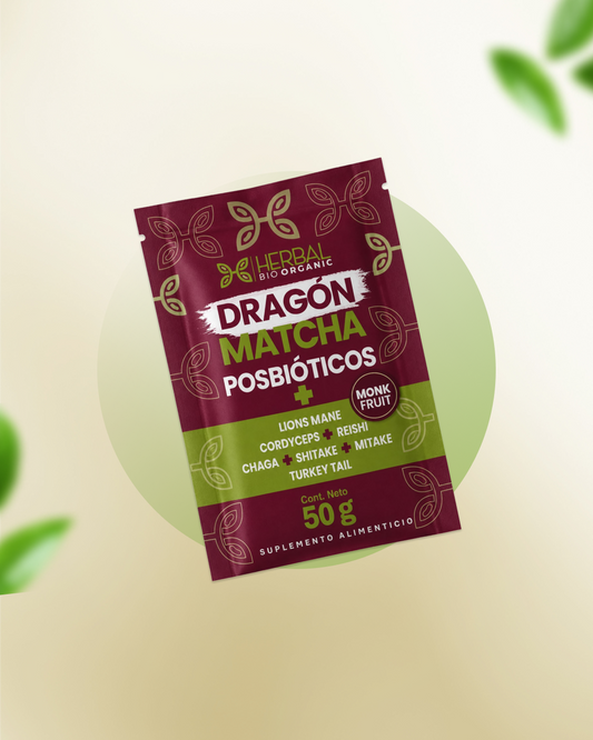Dragon Matcha Probióticos